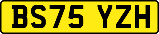 BS75YZH