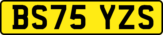 BS75YZS