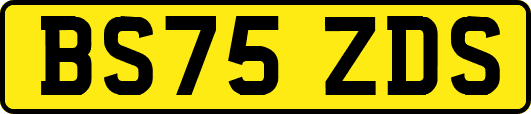 BS75ZDS