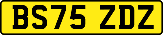 BS75ZDZ