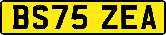 BS75ZEA