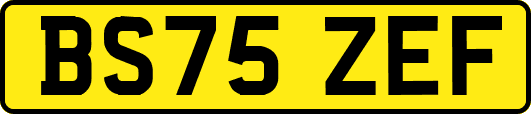 BS75ZEF