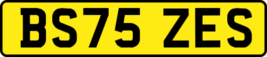 BS75ZES