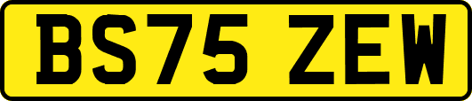 BS75ZEW