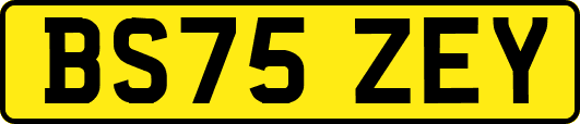 BS75ZEY