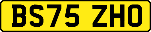 BS75ZHO