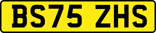 BS75ZHS