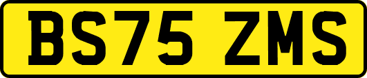 BS75ZMS