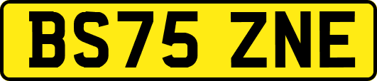 BS75ZNE