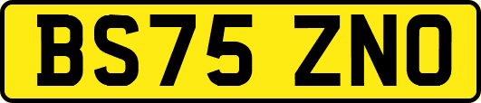 BS75ZNO