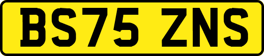 BS75ZNS