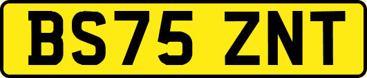 BS75ZNT