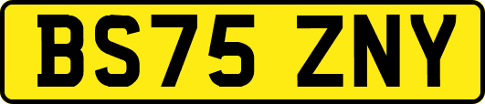 BS75ZNY