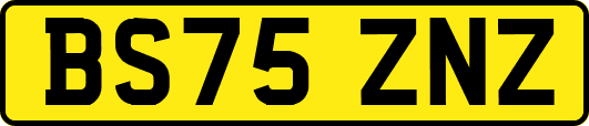 BS75ZNZ