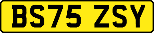 BS75ZSY