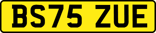 BS75ZUE
