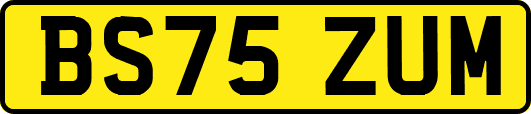 BS75ZUM