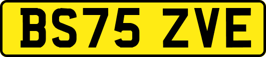 BS75ZVE