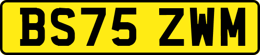 BS75ZWM
