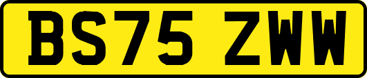 BS75ZWW