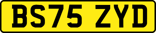 BS75ZYD