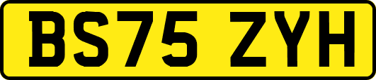 BS75ZYH