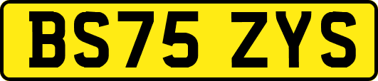 BS75ZYS