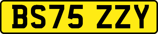 BS75ZZY