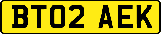 BT02AEK