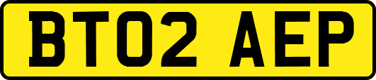 BT02AEP