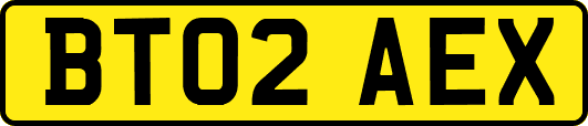 BT02AEX