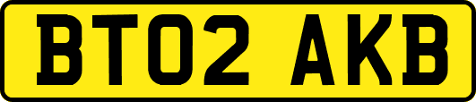 BT02AKB