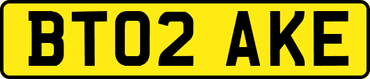 BT02AKE