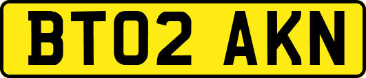 BT02AKN