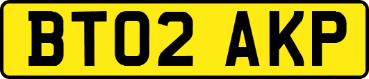 BT02AKP