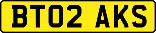 BT02AKS