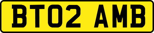 BT02AMB