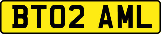 BT02AML