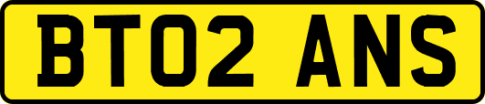 BT02ANS