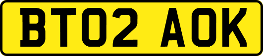 BT02AOK