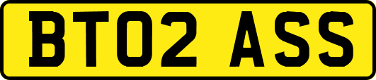 BT02ASS