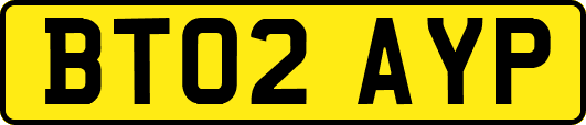 BT02AYP
