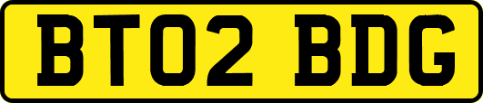 BT02BDG