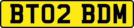 BT02BDM