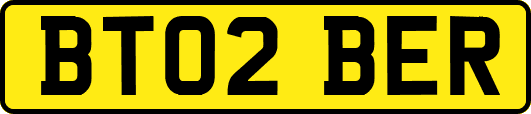 BT02BER