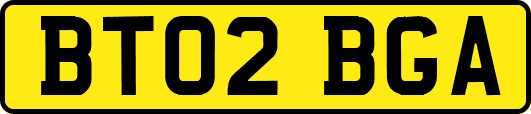 BT02BGA