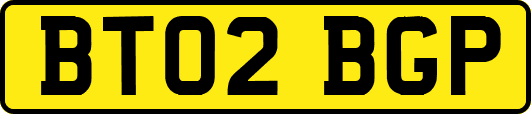 BT02BGP