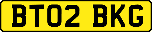 BT02BKG