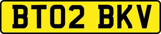 BT02BKV