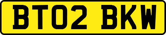 BT02BKW